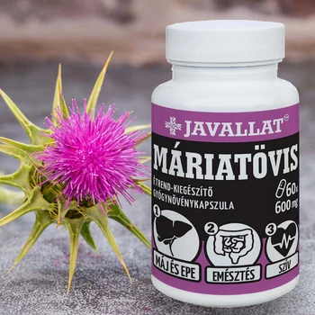 Javallat Máriatövis